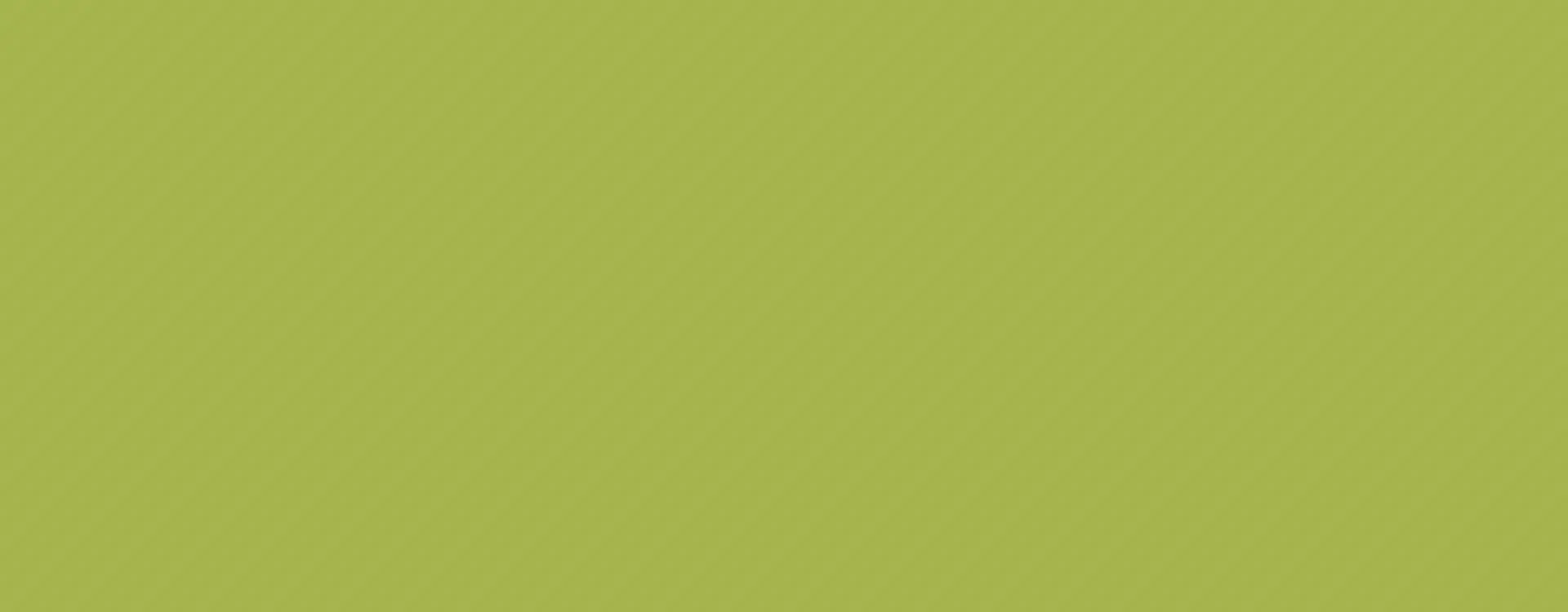 Ayurvedic Essentials